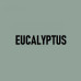 Велотренажер  Kettler Hoi Frame Speed Eucalyptus - фото №10